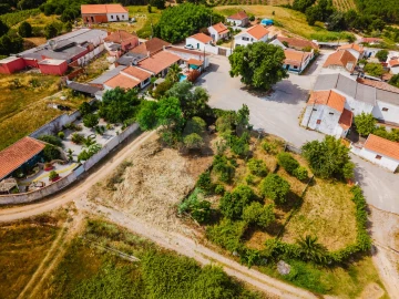 Terreno para Venda em Bombarral e Vale Covo