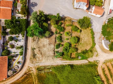 Terreno para Venda em Bombarral e Vale Covo