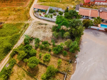 Terreno para Venda em Bombarral e Vale Covo