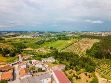 Terreno para Venda em Bombarral e Vale Covo