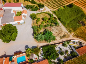 Terreno para Venda em Bombarral e Vale Covo