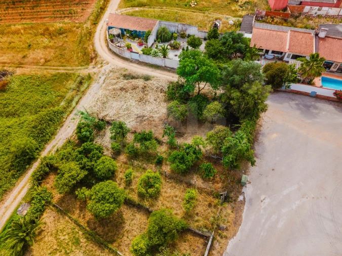 Terreno para Venda em Bombarral e Vale Covo Foto 5
