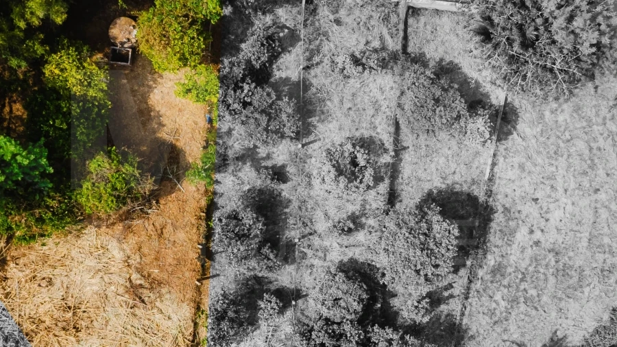 Terreno para Venda em Bombarral e Vale Covo