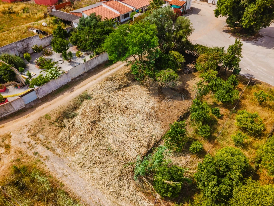Terreno para Venda em Bombarral e Vale Covo Foto 8