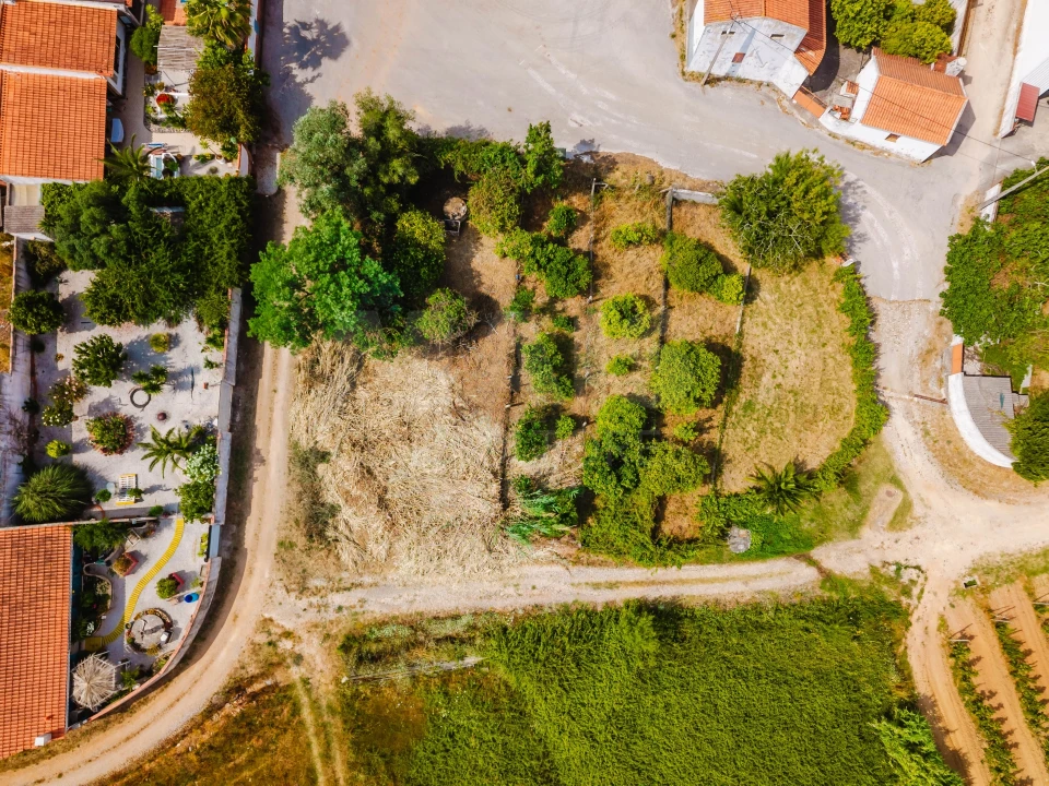 Terreno para Venda em Bombarral e Vale Covo Foto 3