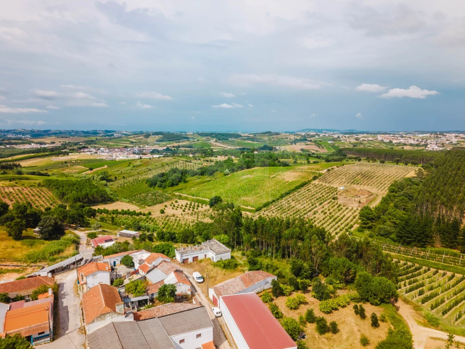 Terreno para Venda em Bombarral e Vale Covo Foto 11