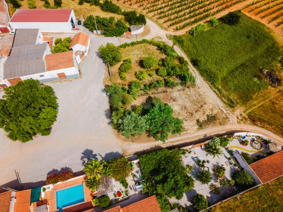 Terreno para Venda em Bombarral e Vale Covo Foto 7