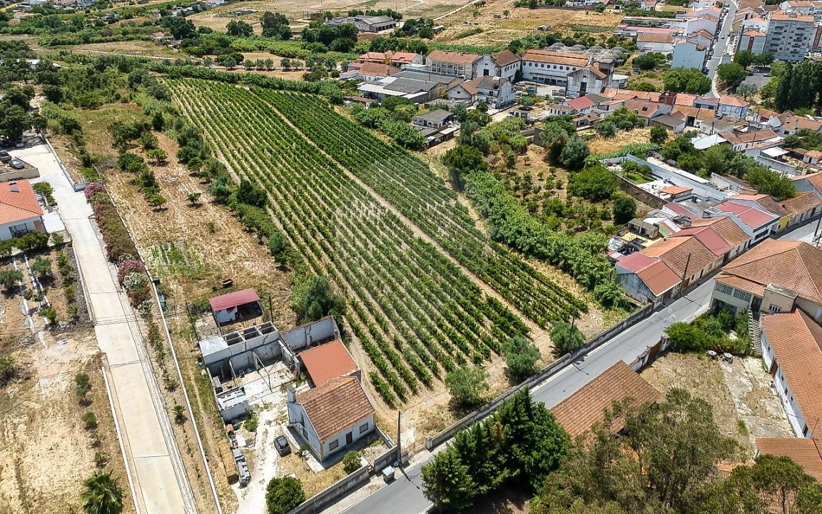 Terreno para Venda em Cartaxo e Vale da Pinta Foto 21