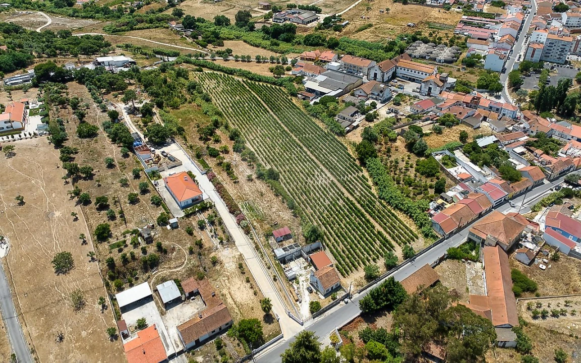 Terreno para Venda em Cartaxo e Vale da Pinta Foto 12