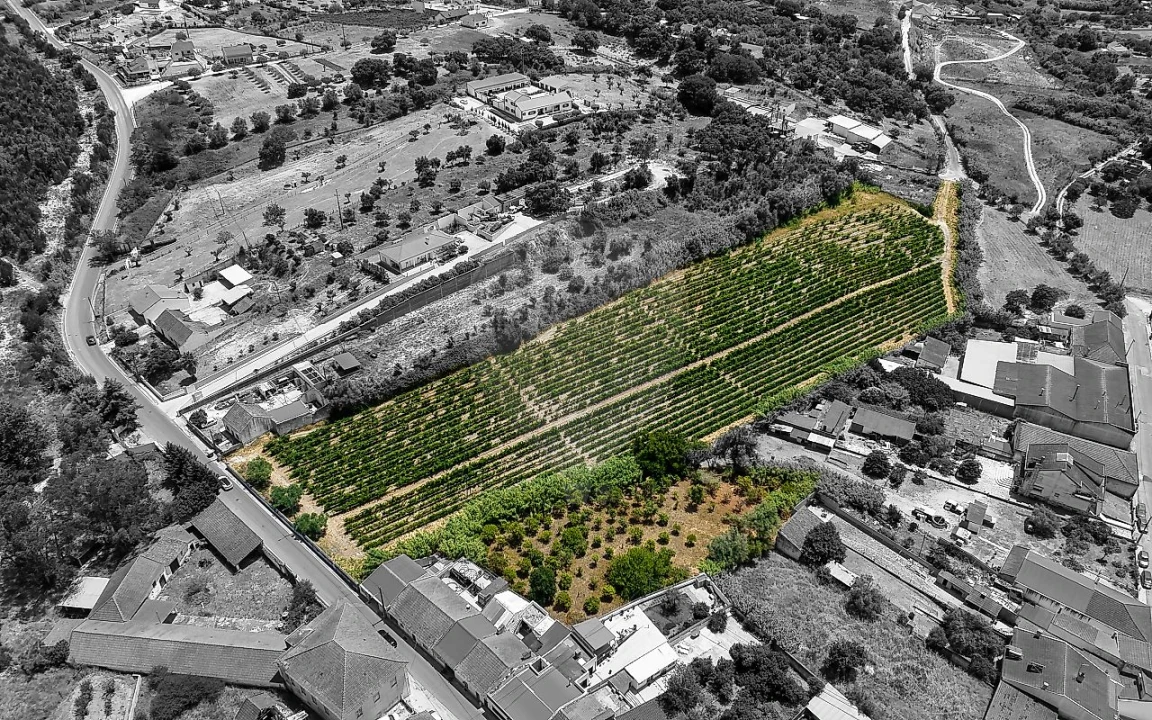 Terreno para Venda em Cartaxo e Vale da Pinta Foto 11