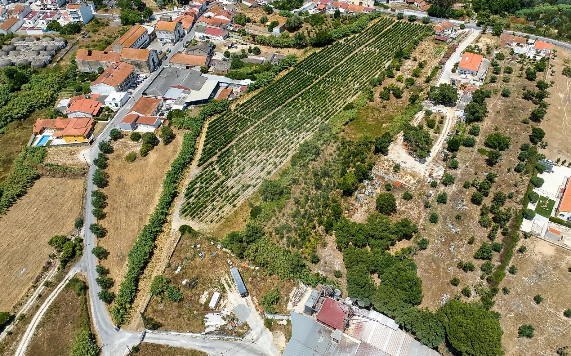 Terreno para Venda em Cartaxo e Vale da Pinta Foto 16