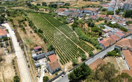 Terreno para Venda em Cartaxo e Vale da Pinta