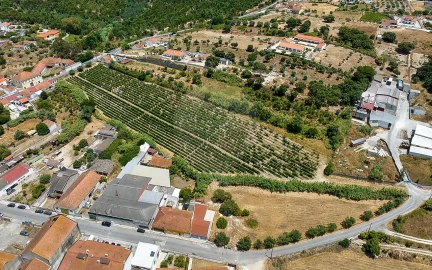 Terreno para Venda em Cartaxo e Vale da Pinta