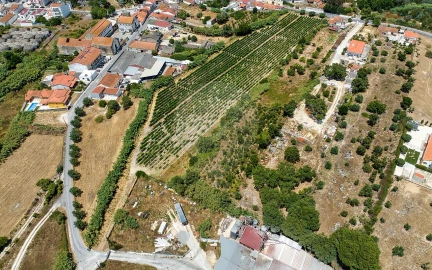 Terreno para Venda em Cartaxo e Vale da Pinta