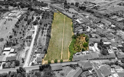 Terreno para Venda em Cartaxo e Vale da Pinta
