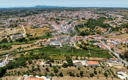 Terreno para Venda em Cartaxo e Vale da Pinta