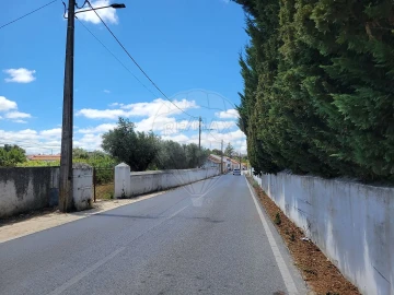 Terreno para Venda em Cartaxo e Vale da Pinta