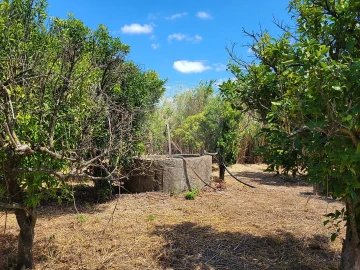 Terreno para Venda em Cartaxo e Vale da Pinta