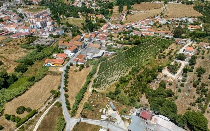 Terreno para Venda em Cartaxo e Vale da Pinta