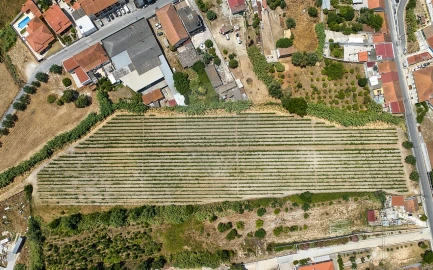 Terreno para Venda em Cartaxo e Vale da Pinta
