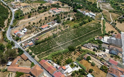 Terreno para Venda em Cartaxo e Vale da Pinta