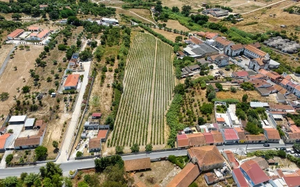 Terreno para Venda em Cartaxo e Vale da Pinta