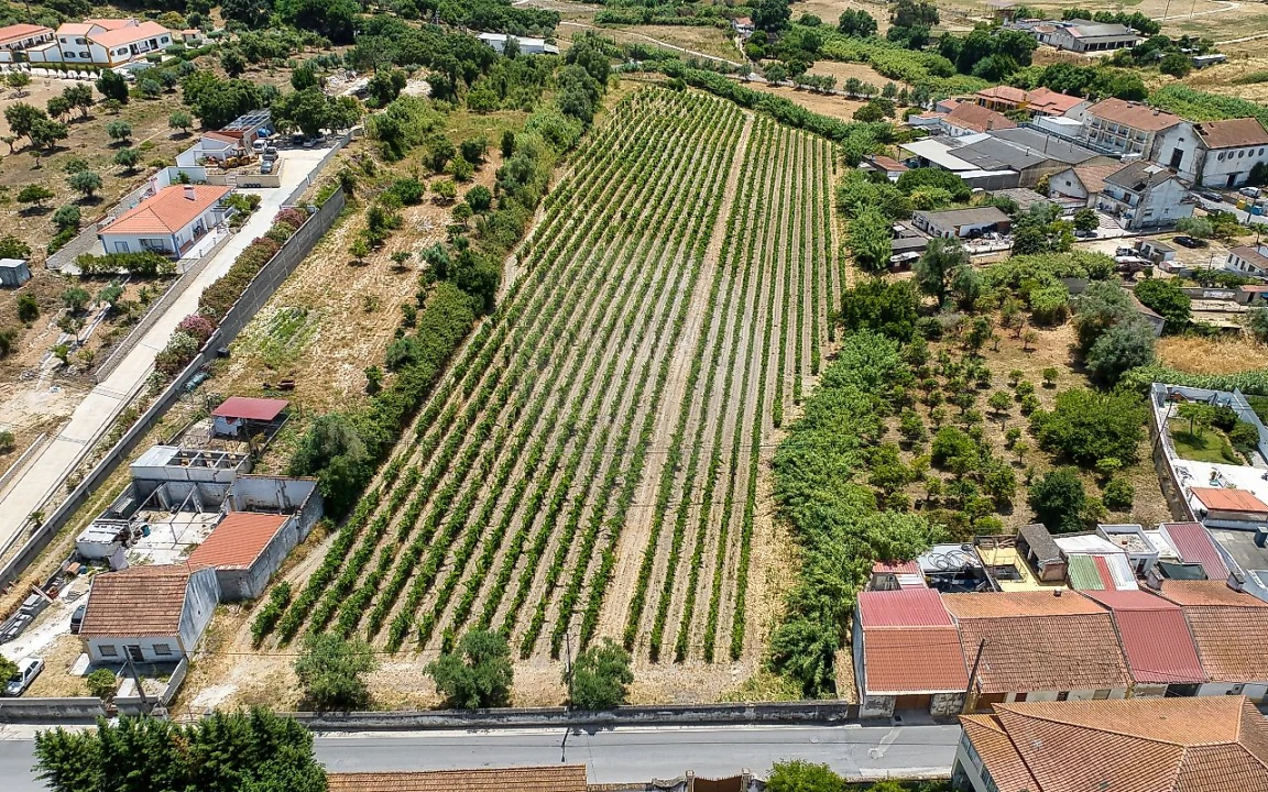Terreno para Venda em Cartaxo e Vale da Pinta Foto 20