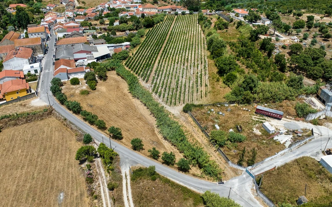 Terreno para Venda em Cartaxo e Vale da Pinta Foto 19