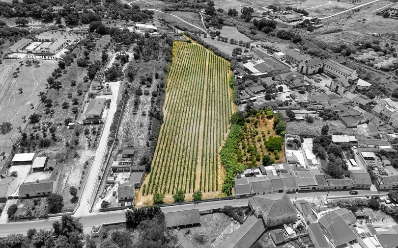 Terreno para Venda em Cartaxo e Vale da Pinta Foto 7