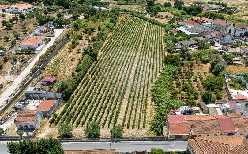 Terreno para Venda em Cartaxo e Vale da Pinta Foto 20