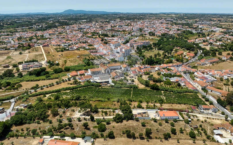 Terreno para Venda em Cartaxo e Vale da Pinta Foto 15