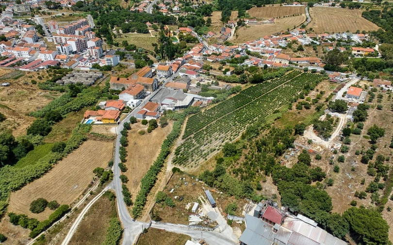 Terreno para Venda em Cartaxo e Vale da Pinta Foto 4