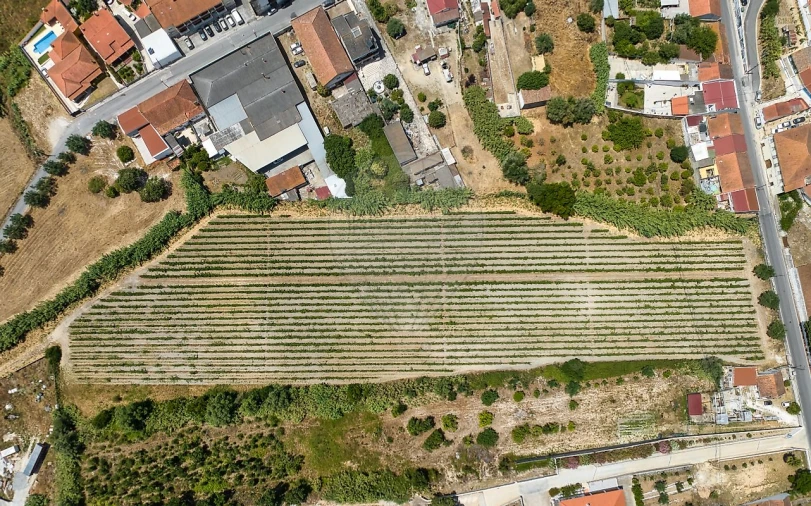 Terreno para Venda em Cartaxo e Vale da Pinta Foto 17