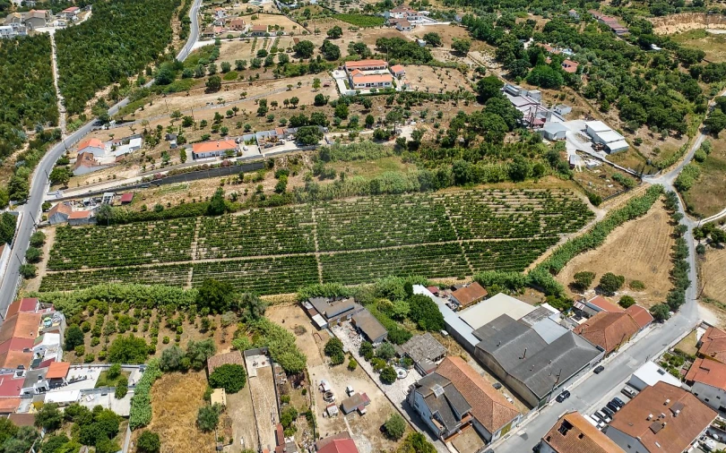Terreno para Venda em Cartaxo e Vale da Pinta Foto 8