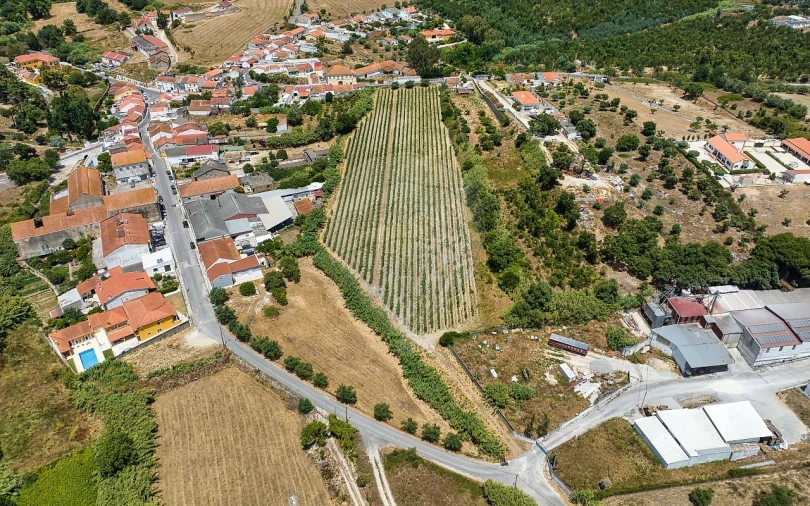 Terreno para Venda em Cartaxo e Vale da Pinta Foto 5