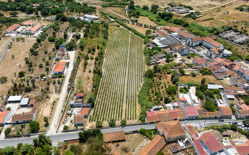 Terreno para Venda em Cartaxo e Vale da Pinta Foto 13