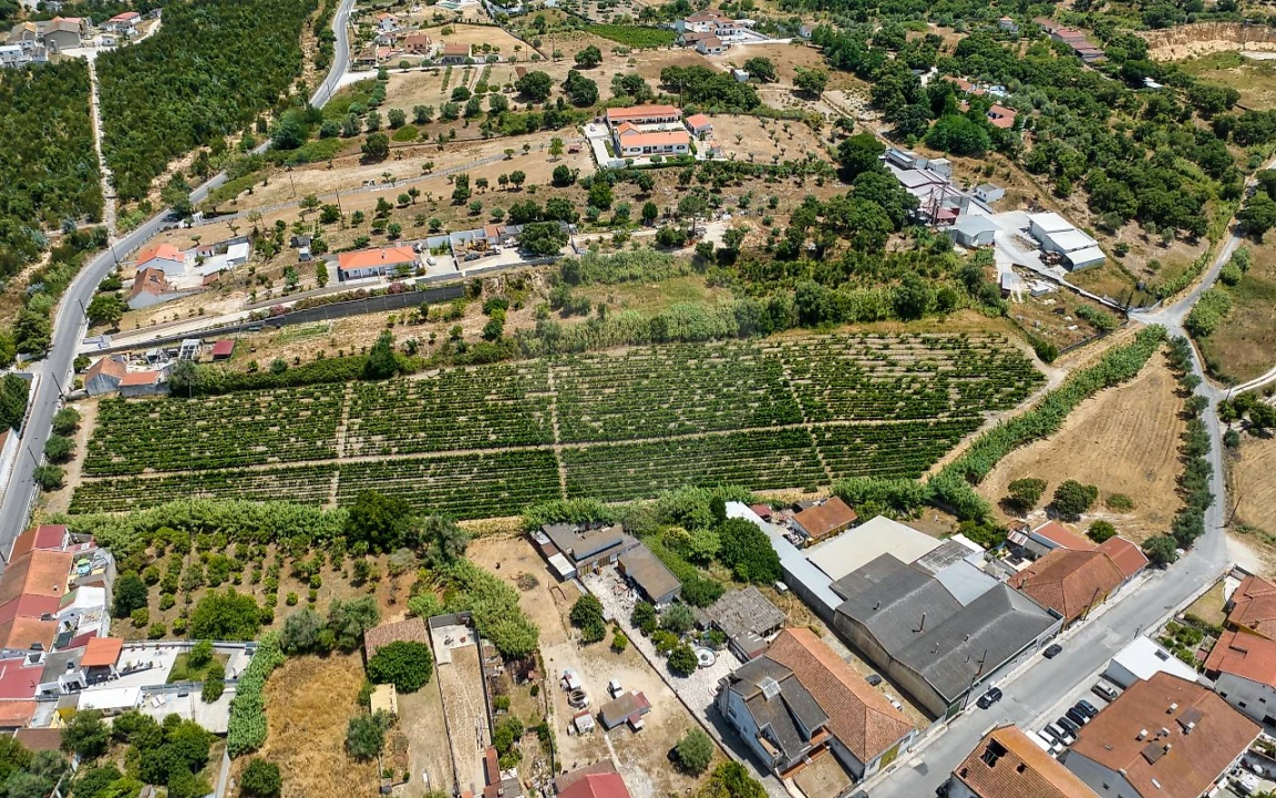 Terreno para Venda em Cartaxo e Vale da Pinta Foto 8