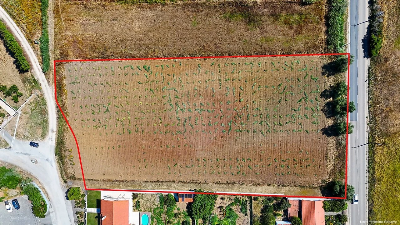 Terreno para Venda em Miragaia e Marteleira Foto 5
