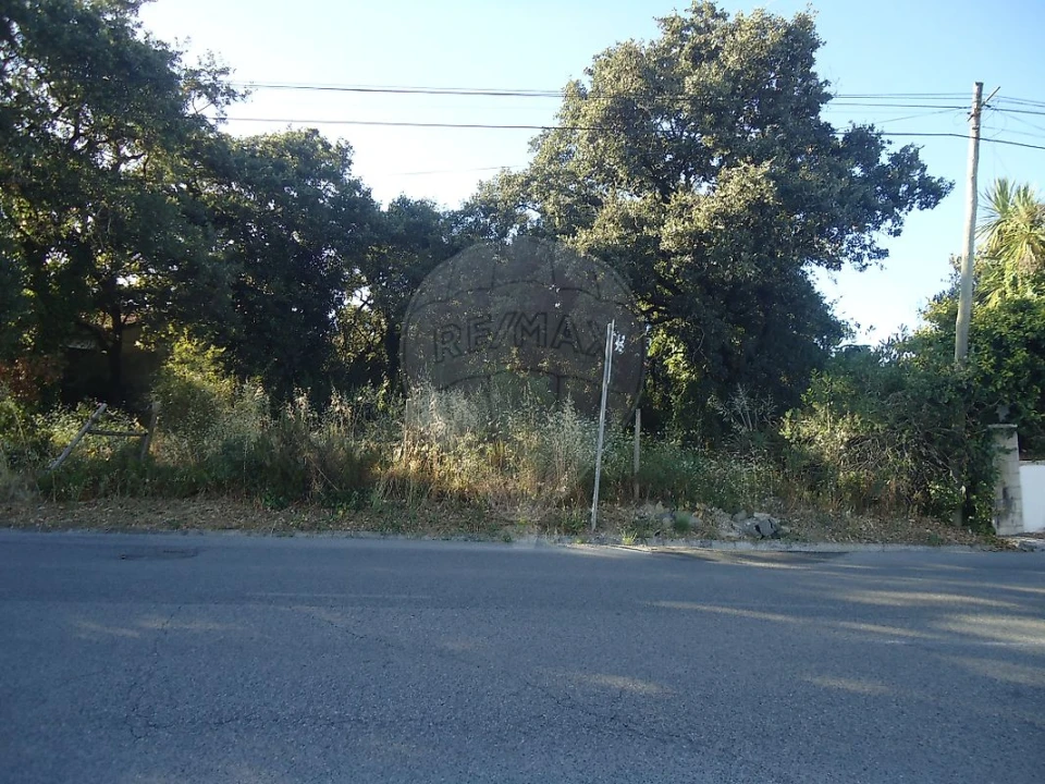 Terreno para Venda em Benedita Foto 5