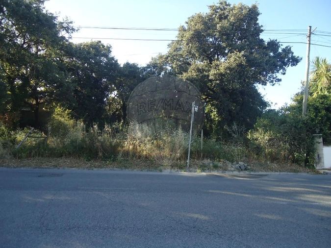 Terreno para Venda em Benedita Foto 5