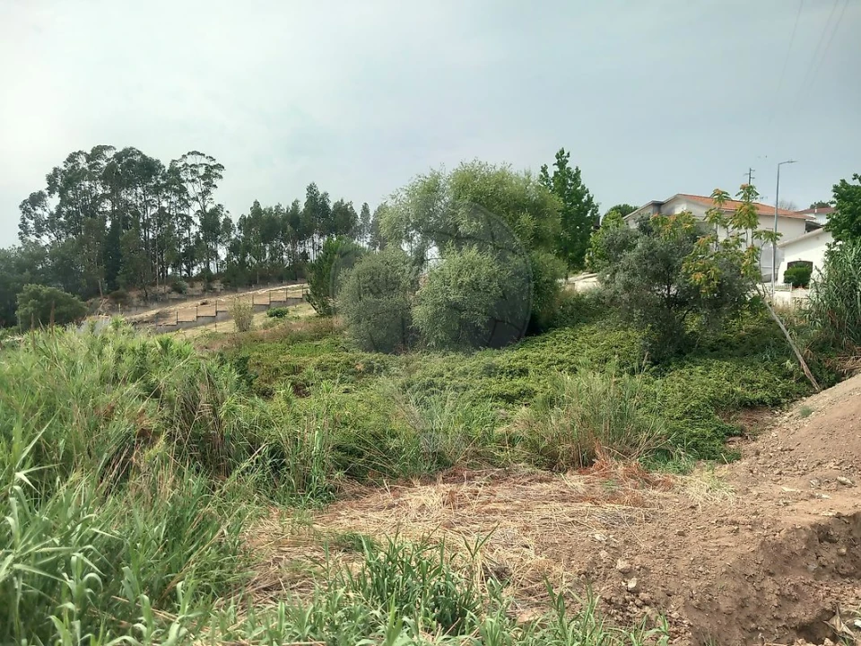 Terreno para Venda em Brasfemes Foto 7