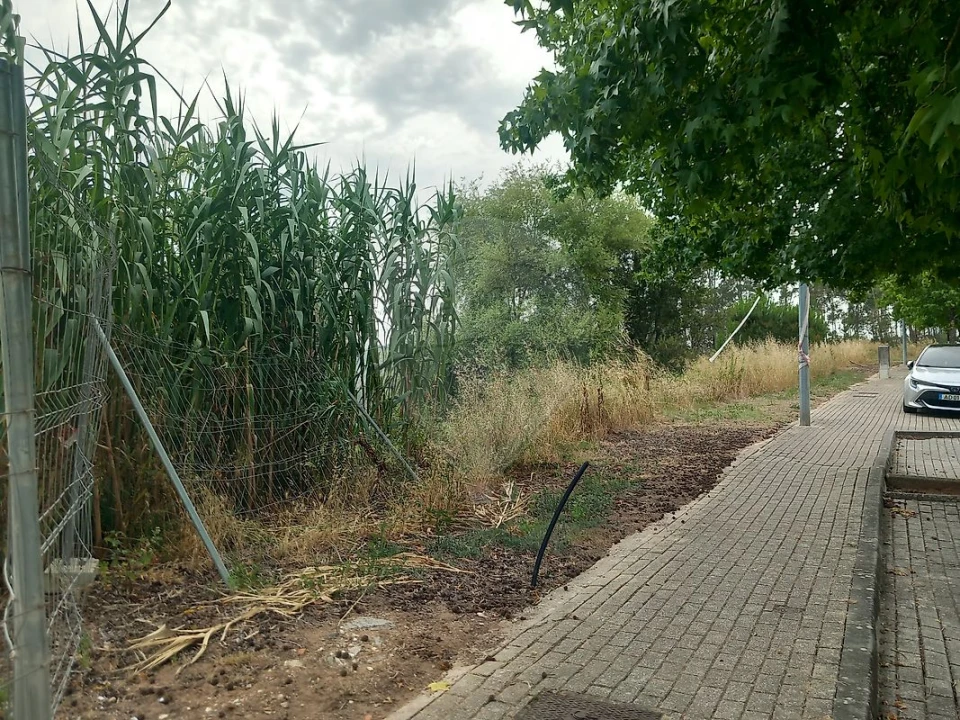 Terreno para Venda em Brasfemes Foto 4