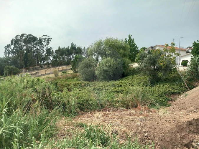 Terreno para Venda em Brasfemes Foto 7