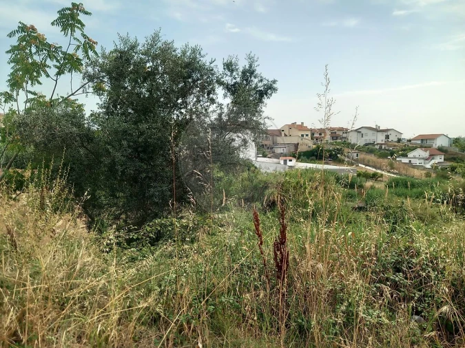 Terreno para Venda em Brasfemes Foto 6