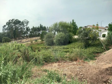 Terreno para Venda em Brasfemes