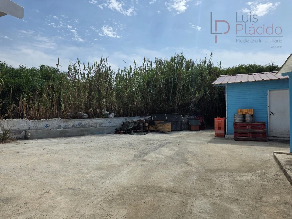 Negócio para Venda em Sines Foto 31
