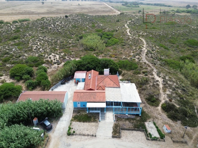 Negócio para Venda em Sines Foto 39