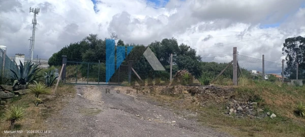 Terreno para Venda em Avintes