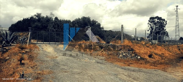 Terreno para Venda em Avintes