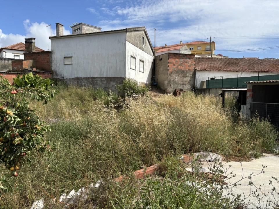 Terreno para Venda em Lourinhã e Atalaia Foto 6